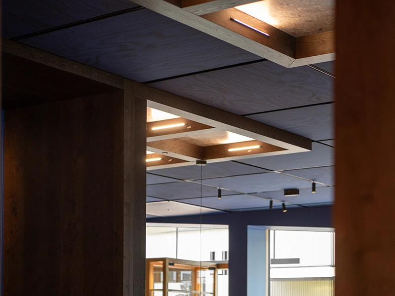 eli-deckenleuchten-innenarchitektur-gruschwitz